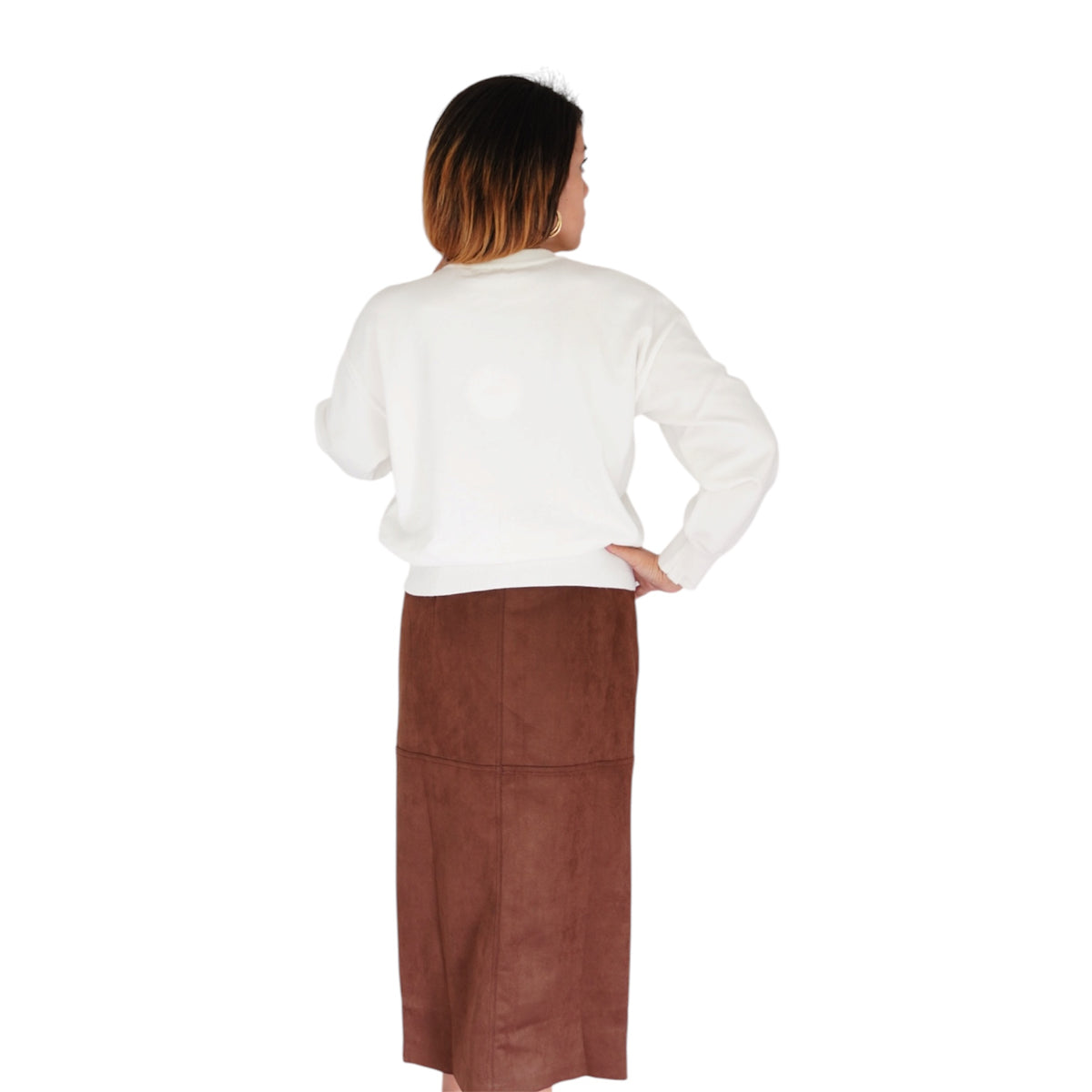 The Pup Collection Beagle Pullover